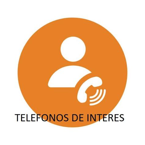 contactos el ejido|Teléfonos de interés